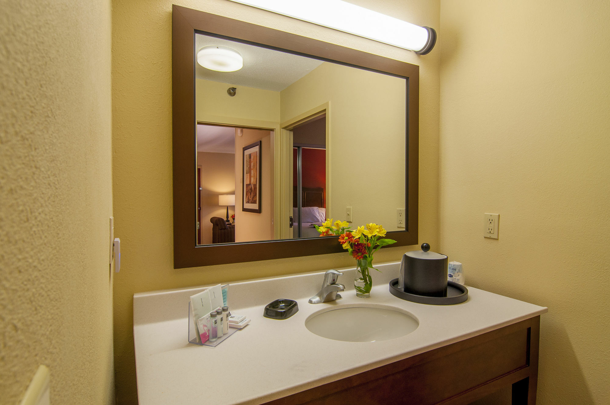 Hampton Inn & Suites Tampa-North Exteriör bild