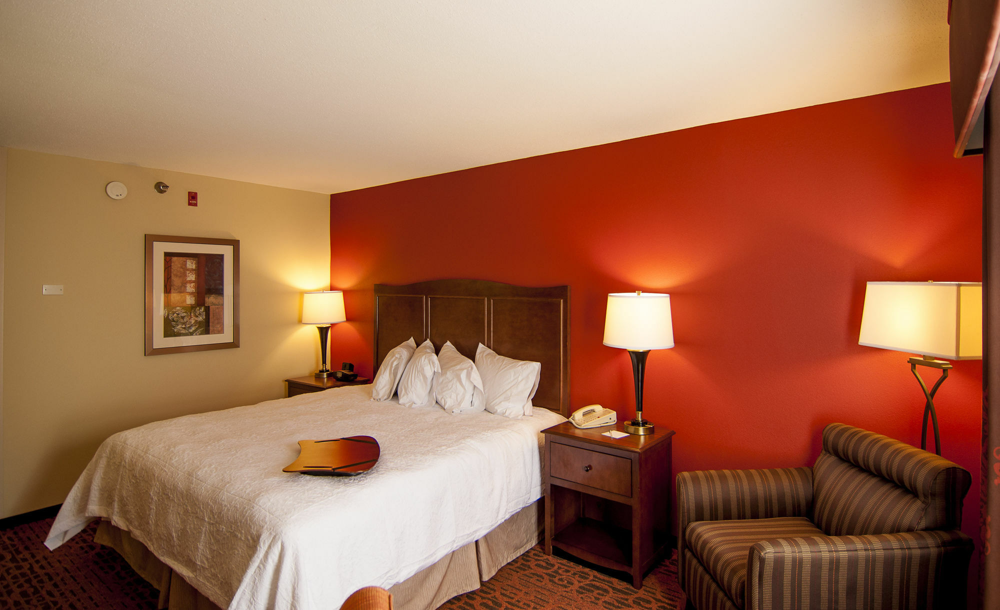 Hampton Inn & Suites Tampa-North Exteriör bild